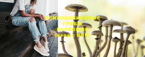 дживик Белоозёрский