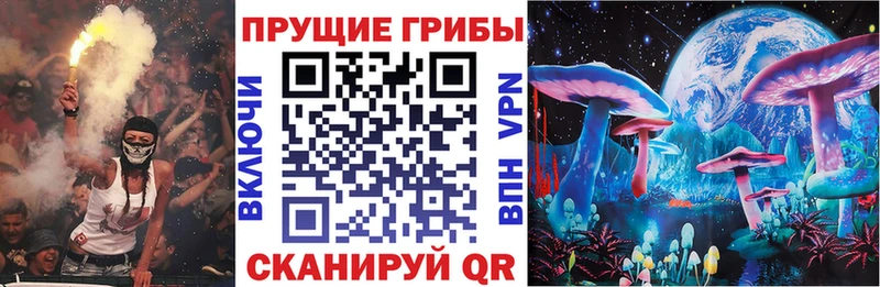 Купить где  Бакал  Галлюциногенные грибы ЛСД 